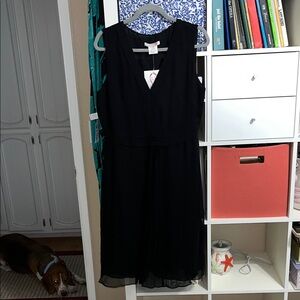 Elegant Black Sleeveless Dress